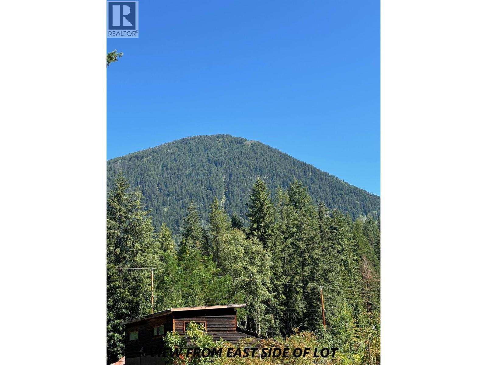 Parcel C Columbia Street, New Denver, BC