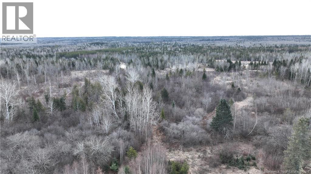 Indian Gardens Road, South Esk, NB