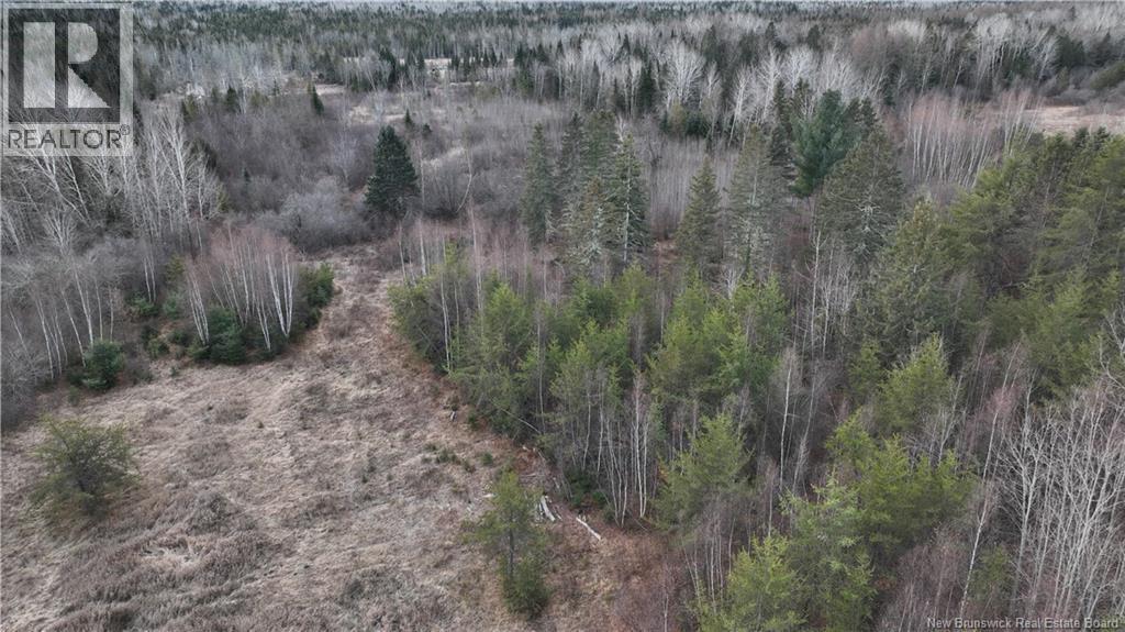 Indian Gardens Road, South Esk, NB