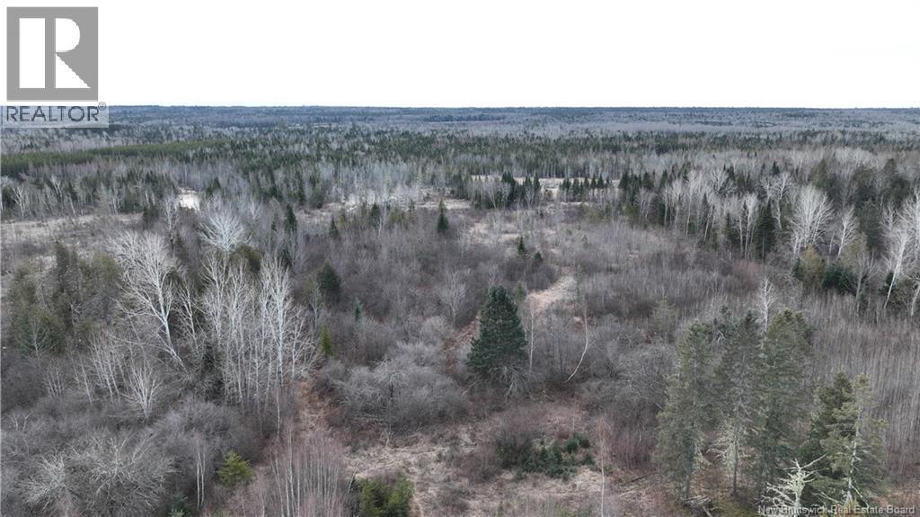 Indian Gardens Road, South Esk, NB