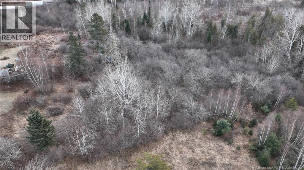 Indian Gardens Road, South Esk, NB