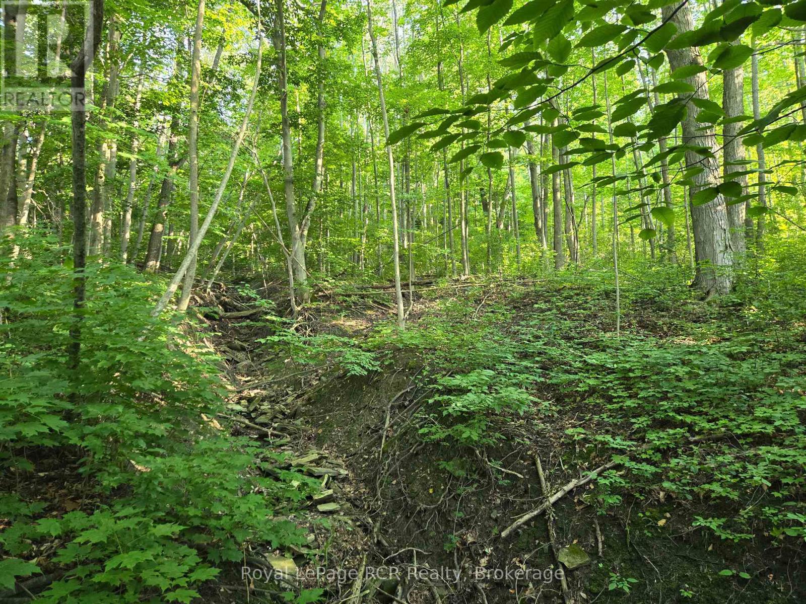 130 Old Highway 26 Highway, Meaford, ON