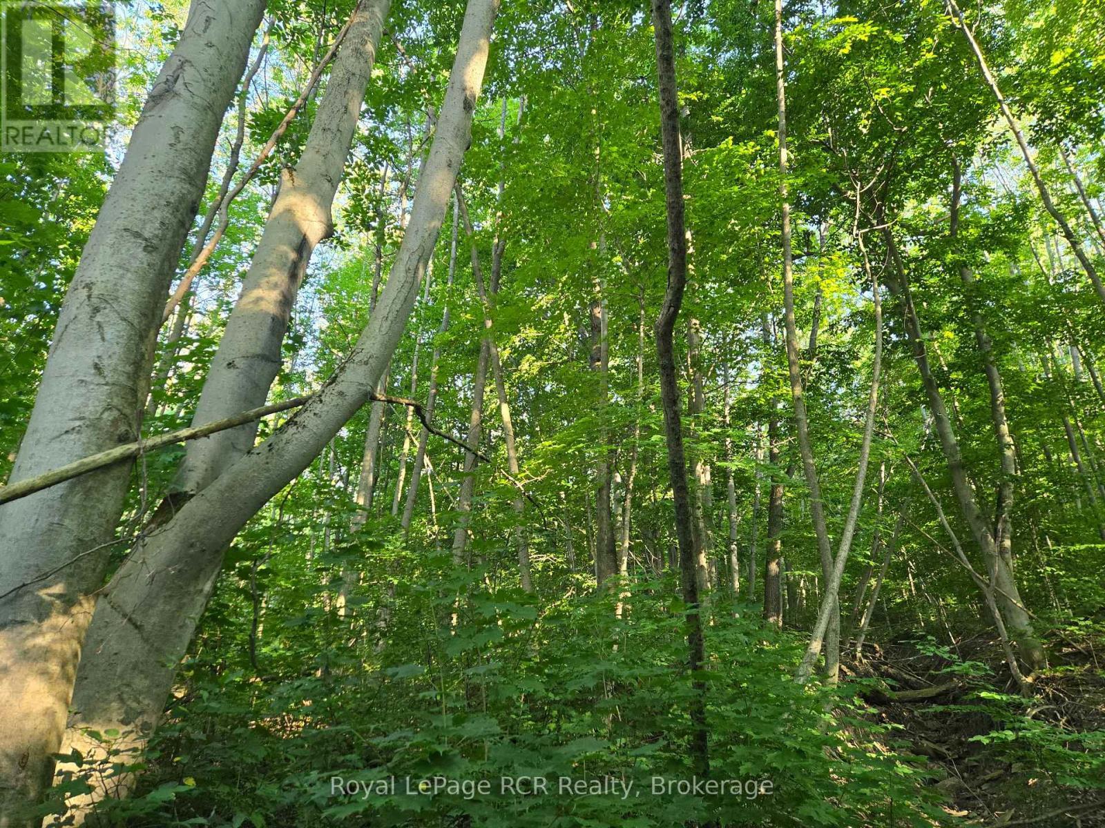 130 Old Highway 26 Highway, Meaford, ON