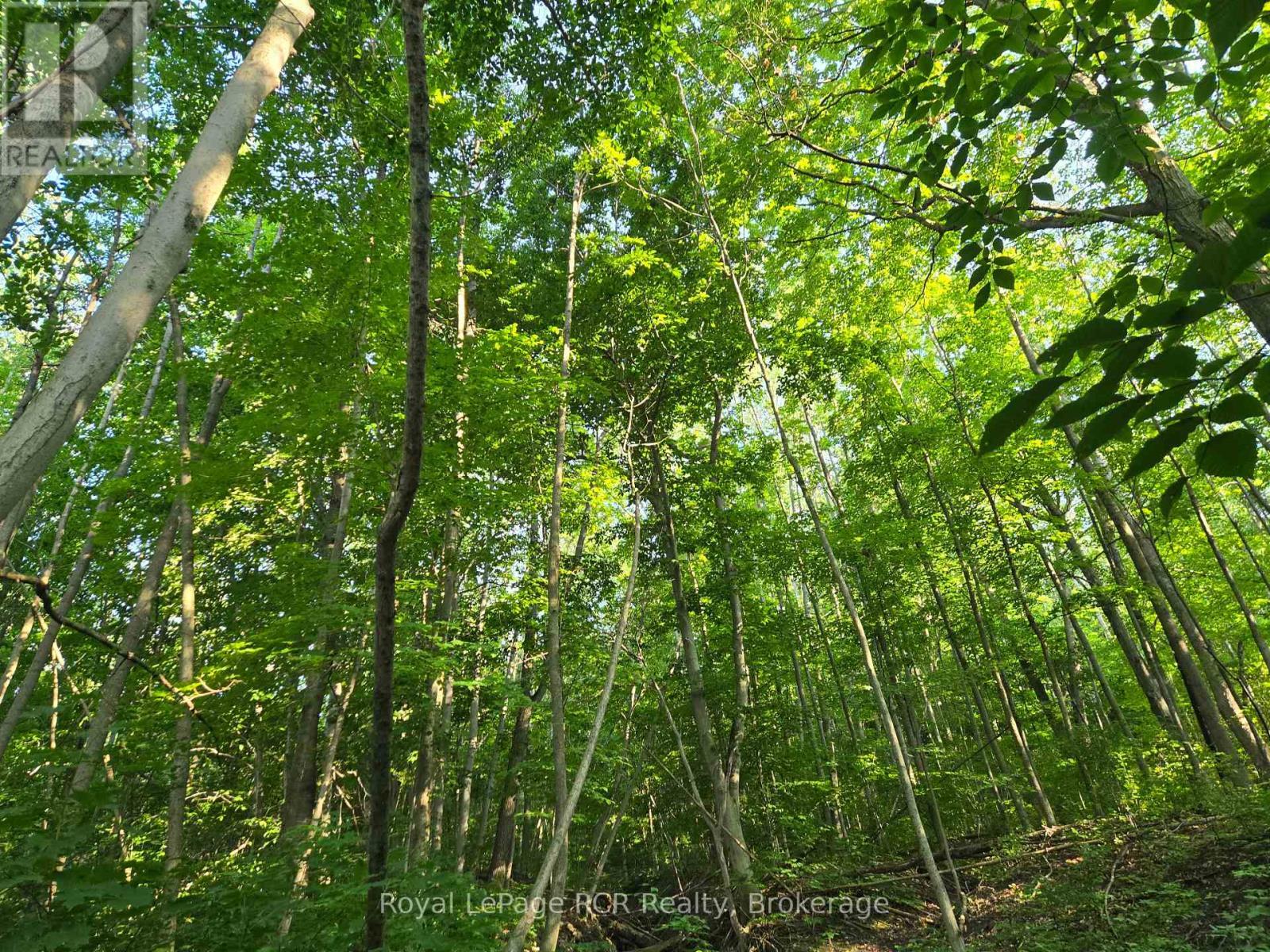 130 Old Highway 26 Highway, Meaford, ON