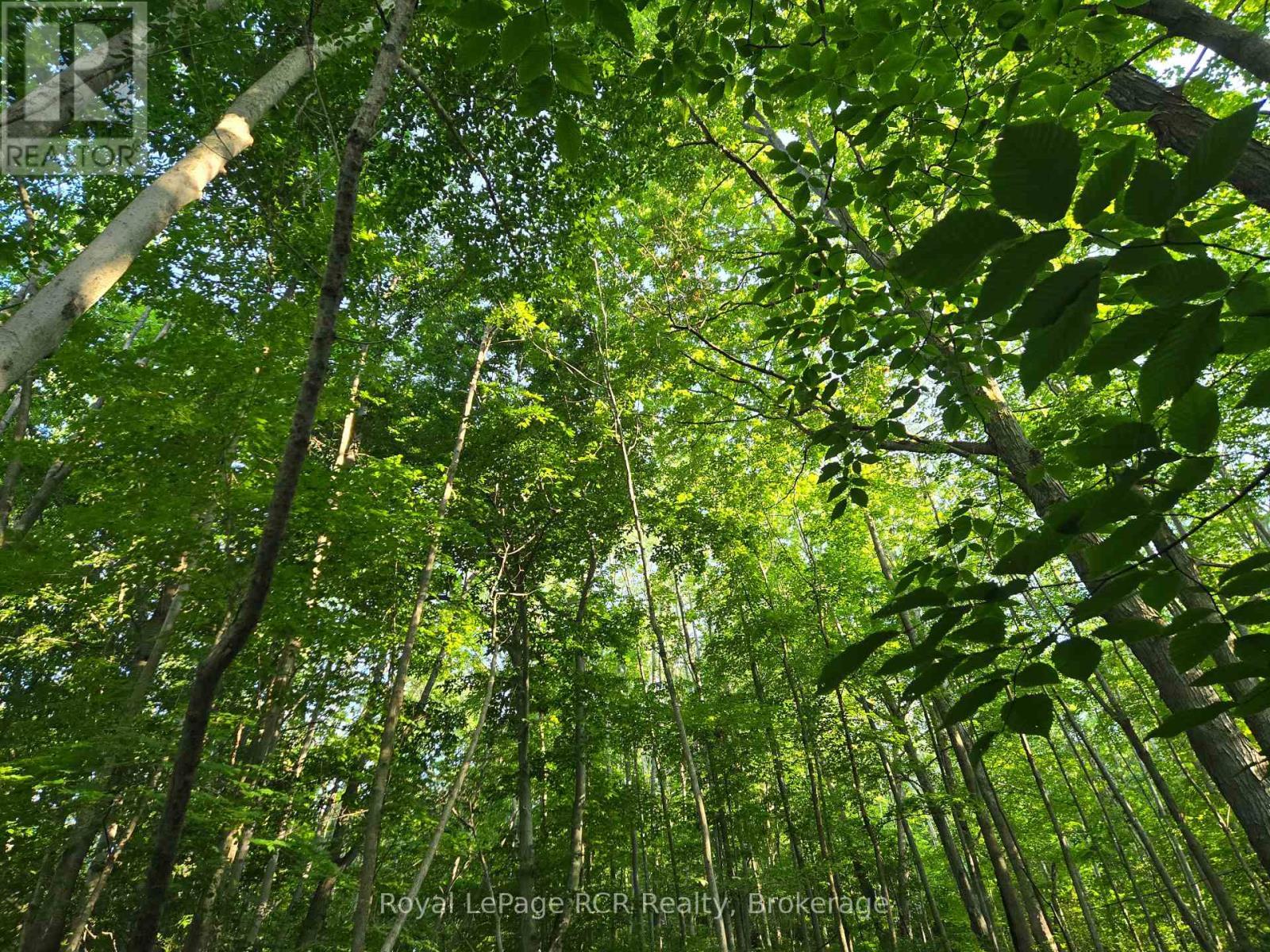 130 Old Highway 26 Highway, Meaford, ON