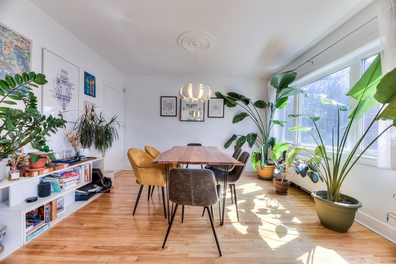 Living room - 4209 Av. Isabella, Montréal (Côte-Des-Neiges/Notre-Dame-De-Grâce), QC - Indoor