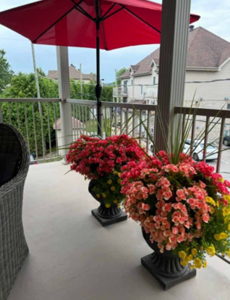 Balcony - 108 Rue Proulx, Saint-Joseph-Du-Lac, QC - Outdoor With Exterior
