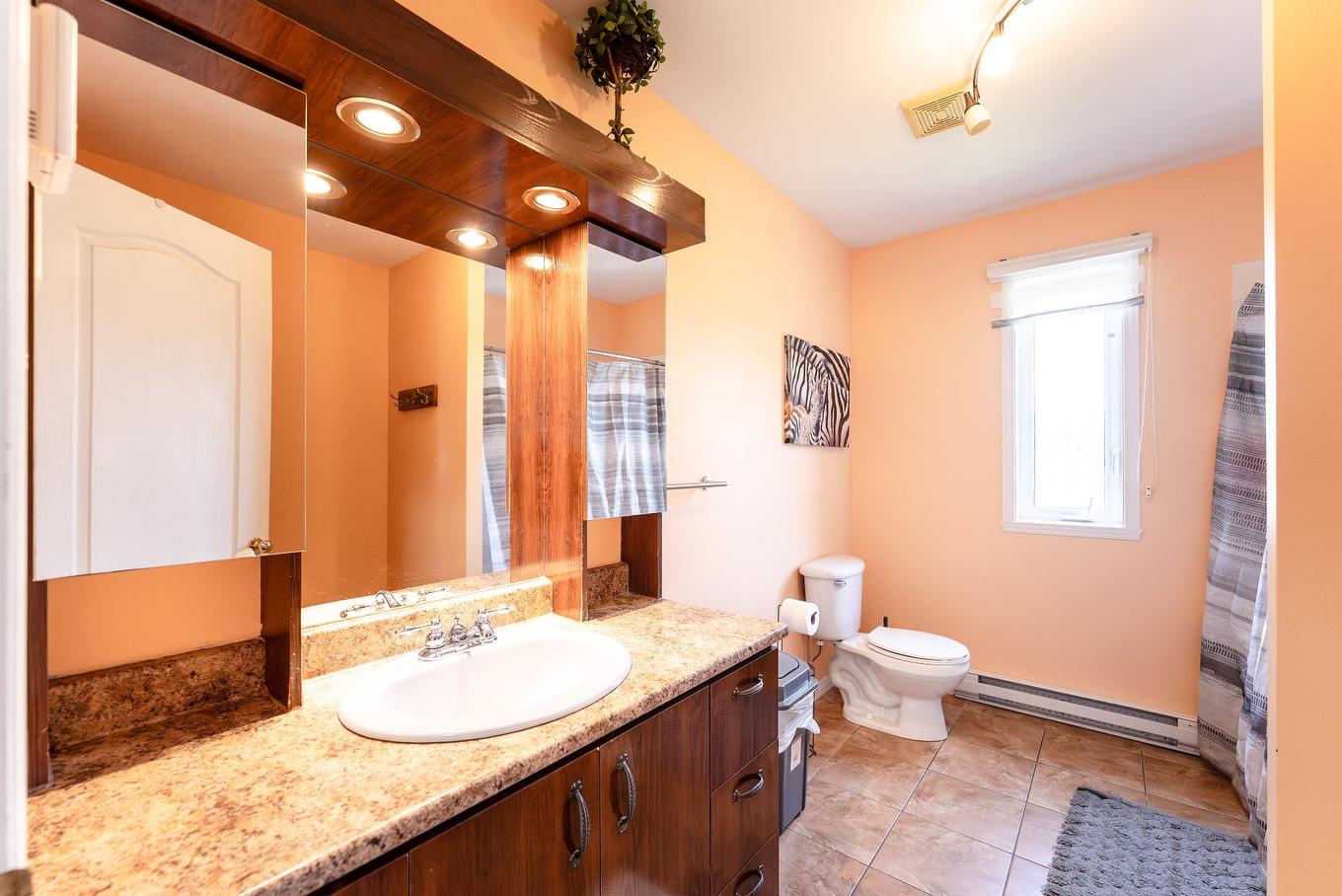 Salle de bains - 21 Rue Du Château, Drummondville, QC - Indoor Photo Showing Bathroom