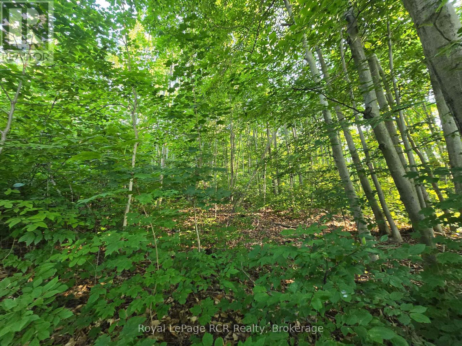 126 Old Highway 26 Highway, Meaford, ON