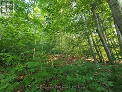 126 OLD HIGHWAY 26 HIGHWAY Meaford, ON N4L 1W7