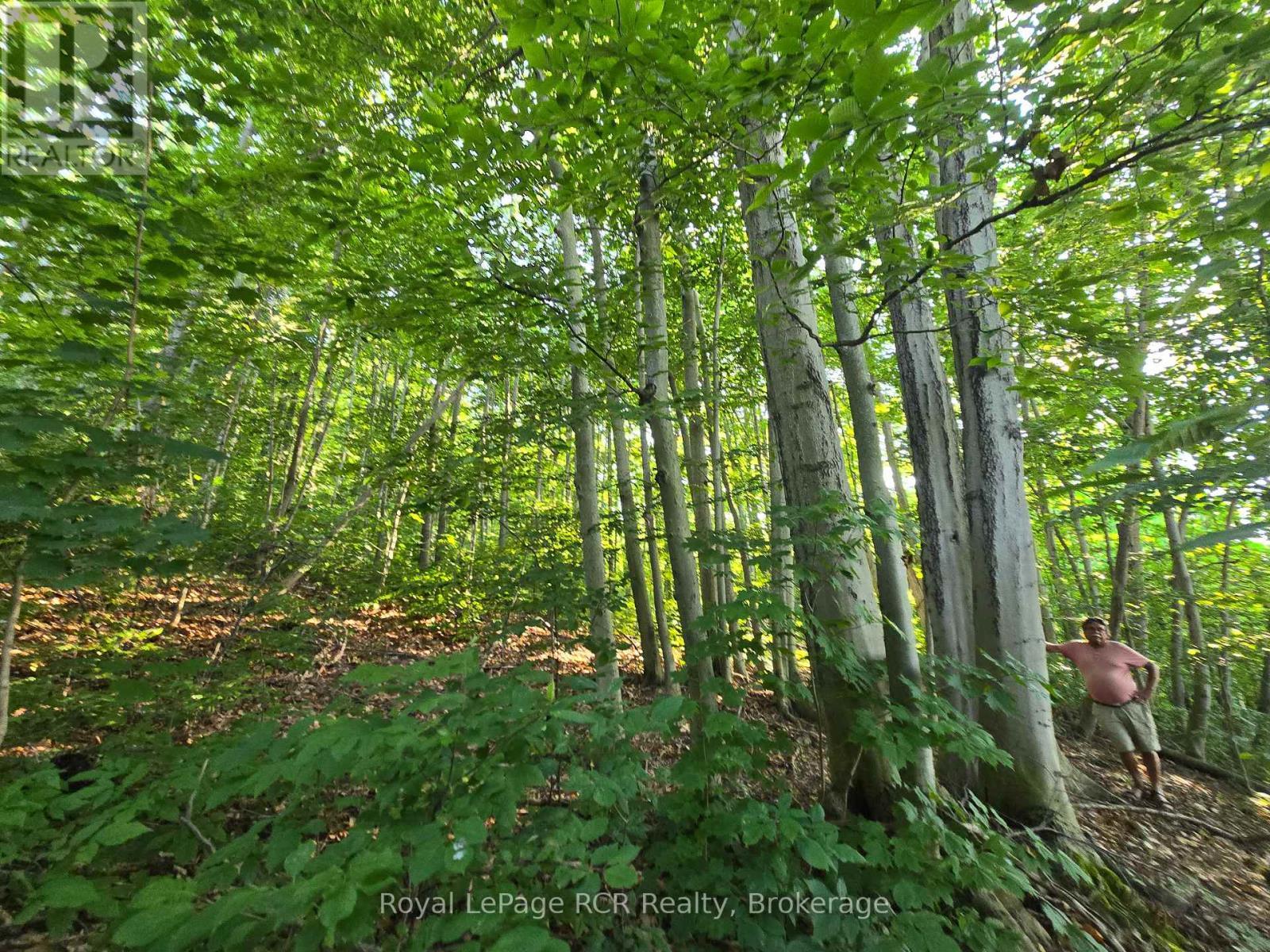 126 Old Highway 26 Highway, Meaford, ON