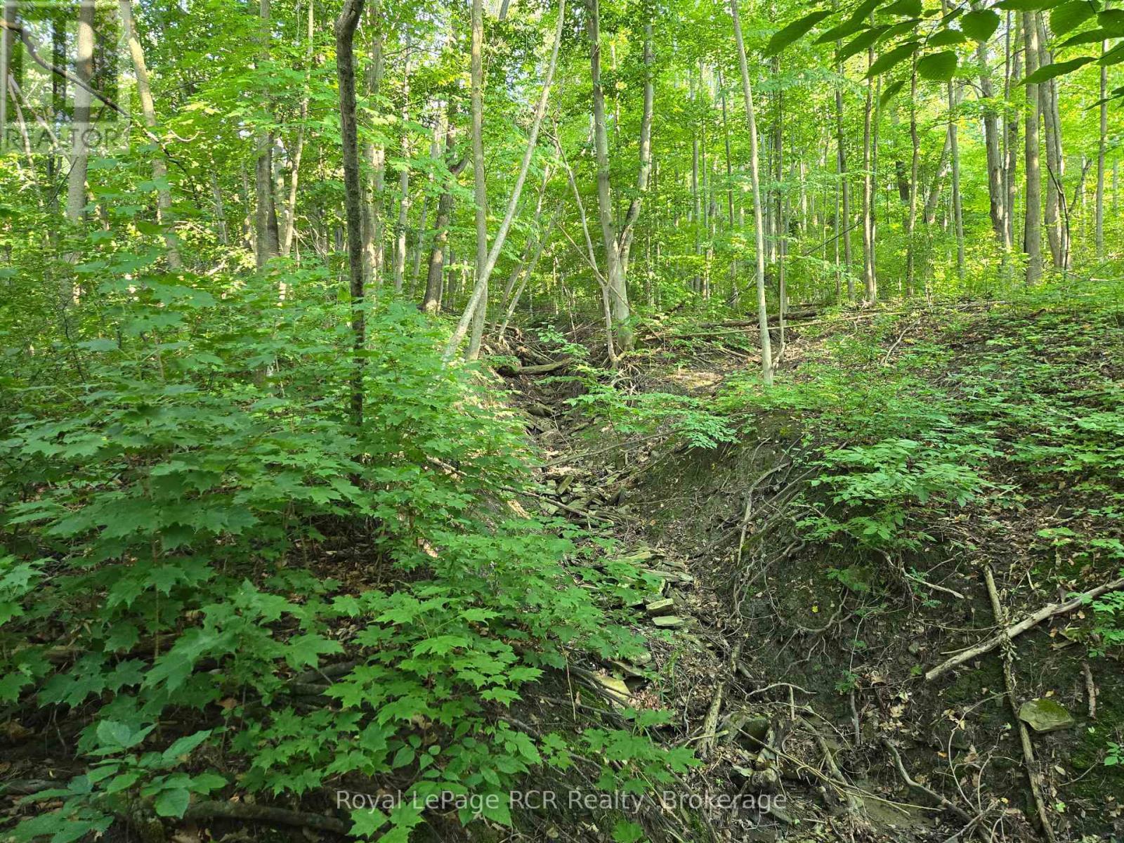 126 Old Highway 26 Highway, Meaford, ON