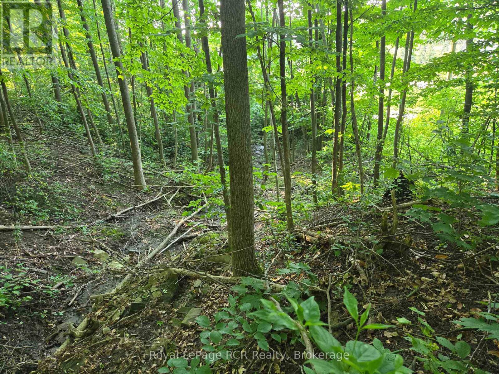 126 Old Highway 26 Highway, Meaford, ON