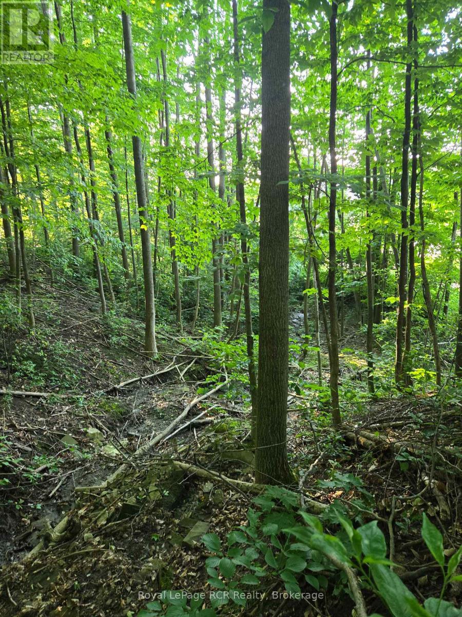 126 Old Highway 26 Highway, Meaford, ON