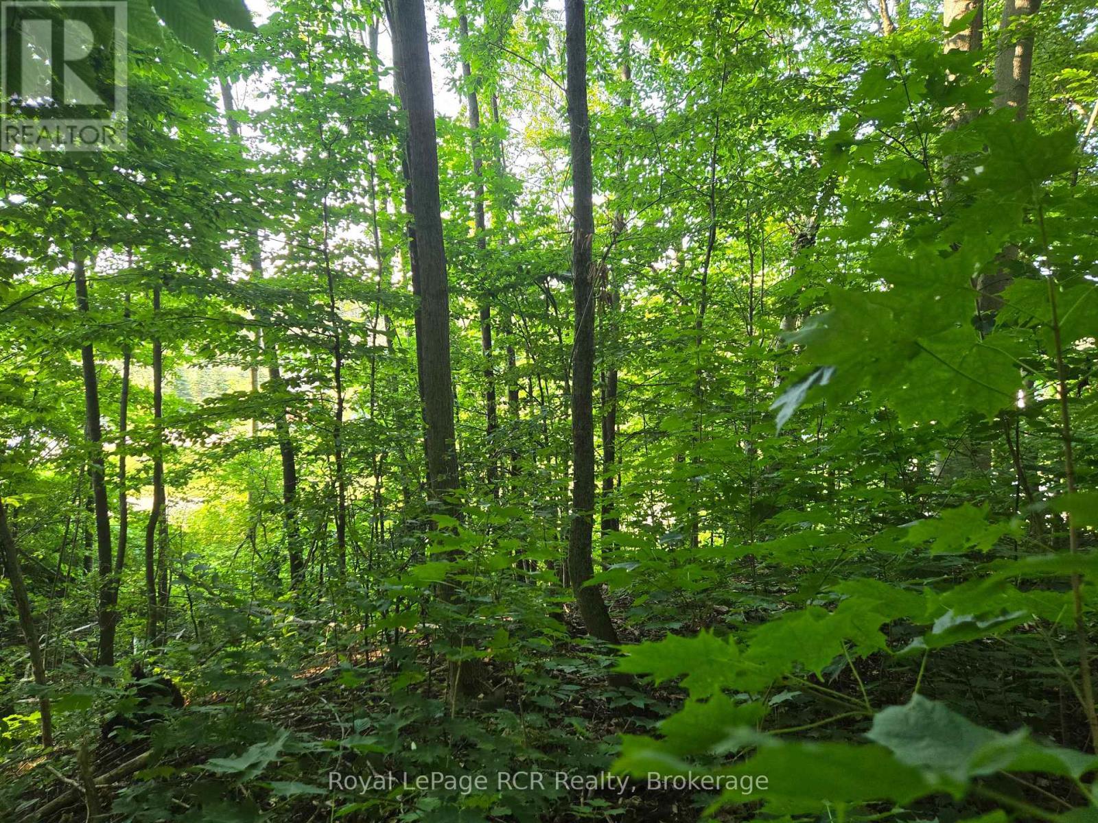 126 Old Highway 26 Highway, Meaford, ON