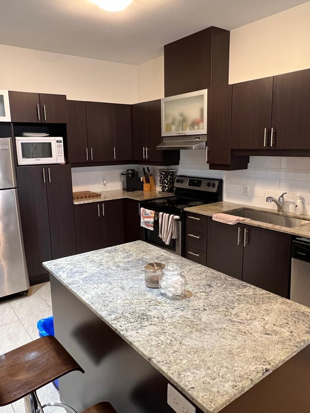 Cuisine - B2-50 Rue Lower Maple, Hudson, QC - Indoor Photo Showing Kitchen