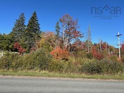 Lot 2B Big Baddeck Road Baddeck, NS B0E 1B0