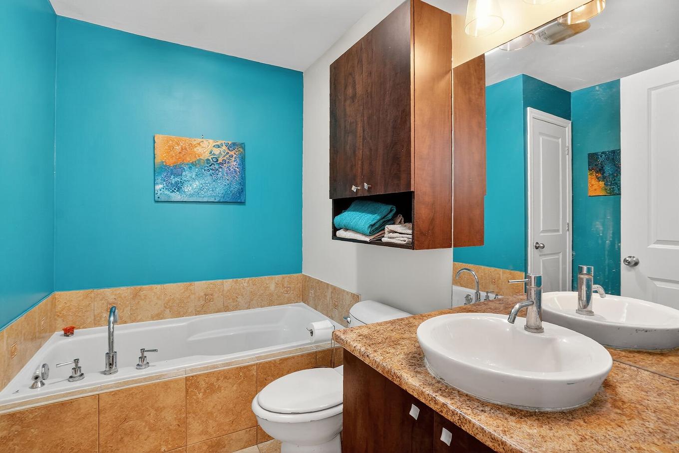 Salle de bains - 5-5740 Rue Laurendeau, Montréal (Le Sud-Ouest), QC - Indoor Photo Showing Bathroom