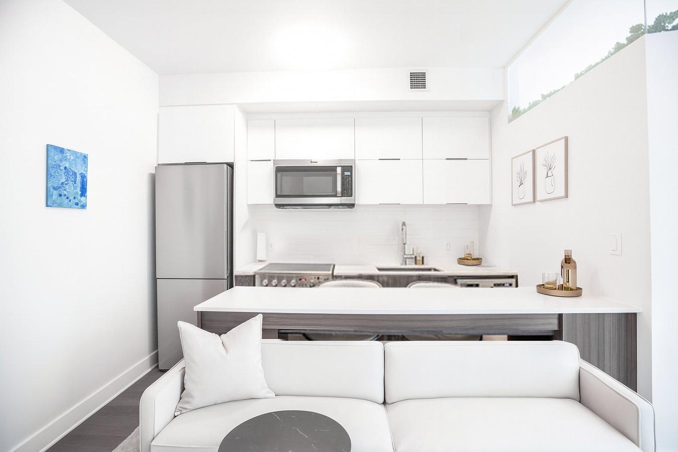 Living room - 508-2100 Boul. St-Laurent, Montréal (Ville-Marie), QC - Indoor Photo Showing Kitchen