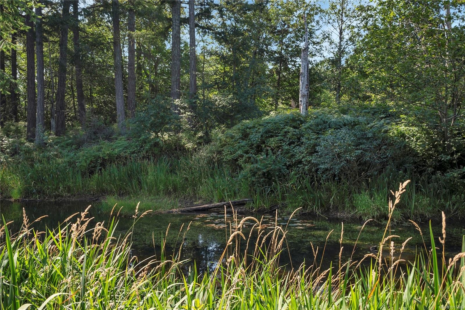 8856 Mclarey Ave, Black Creek, BC