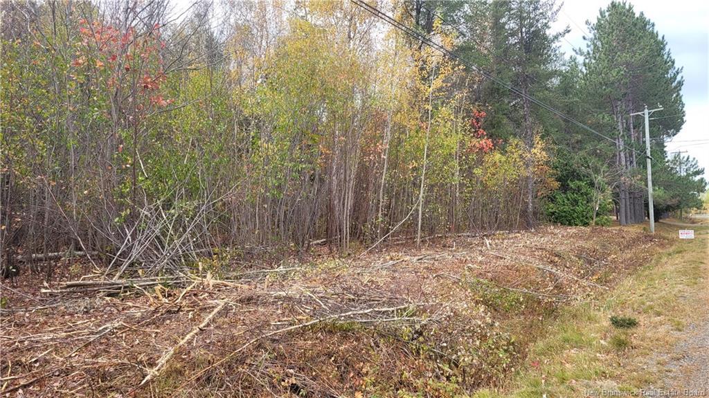 0 Rte 118, South Nelson, NB