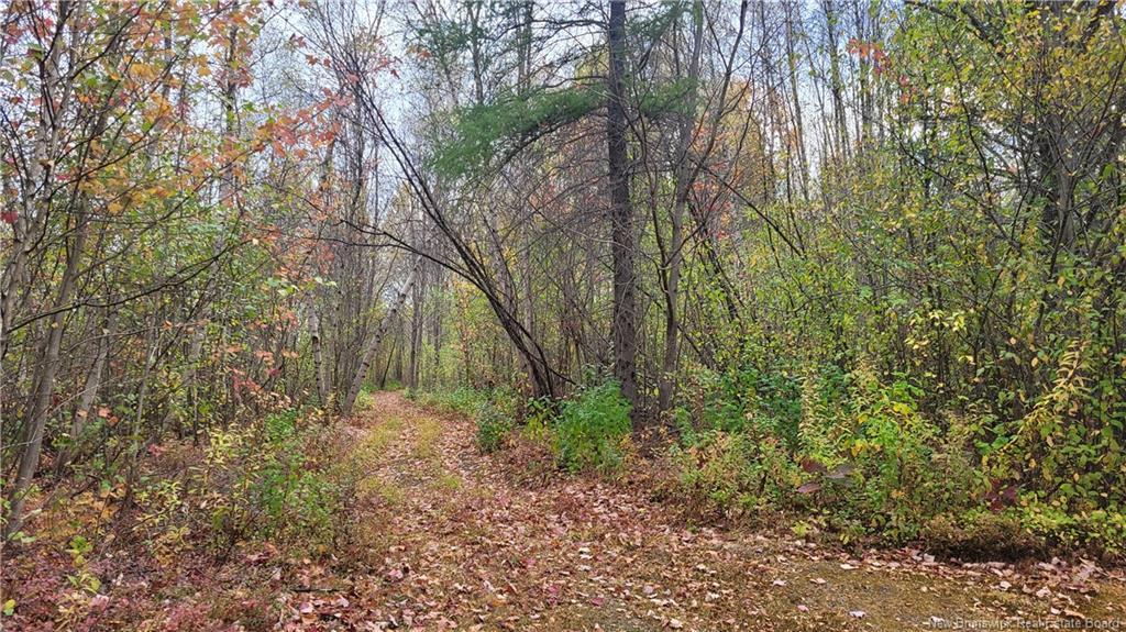 0 Rte 118, South Nelson, NB