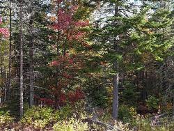 Lot Chesley Road Barss Corner, NS B0R 1A0