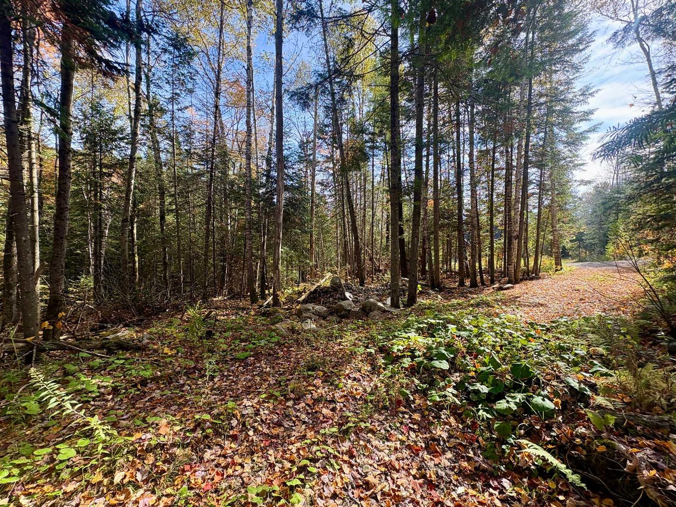 Land/Lot - Ch. De La Sauvagine, Mont-Blanc, QC