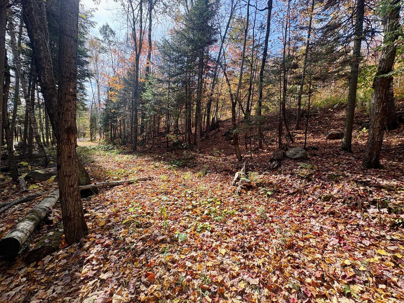 Land/Lot - Ch. De La Sauvagine, Mont-Blanc, QC