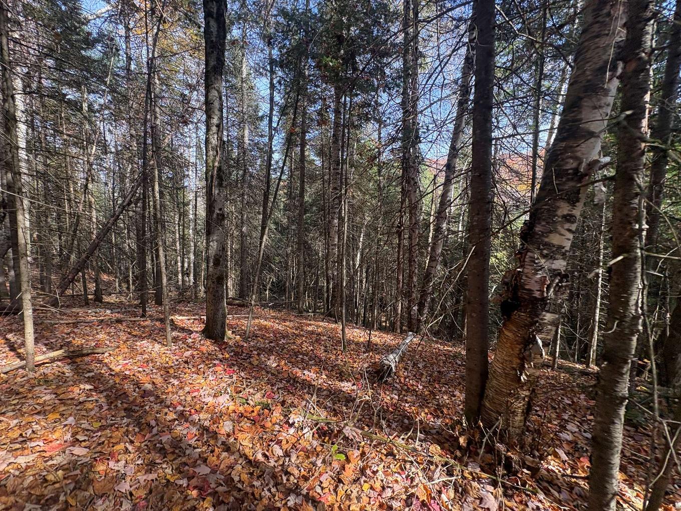Land/Lot - Ch. De La Sauvagine, Mont-Blanc, QC