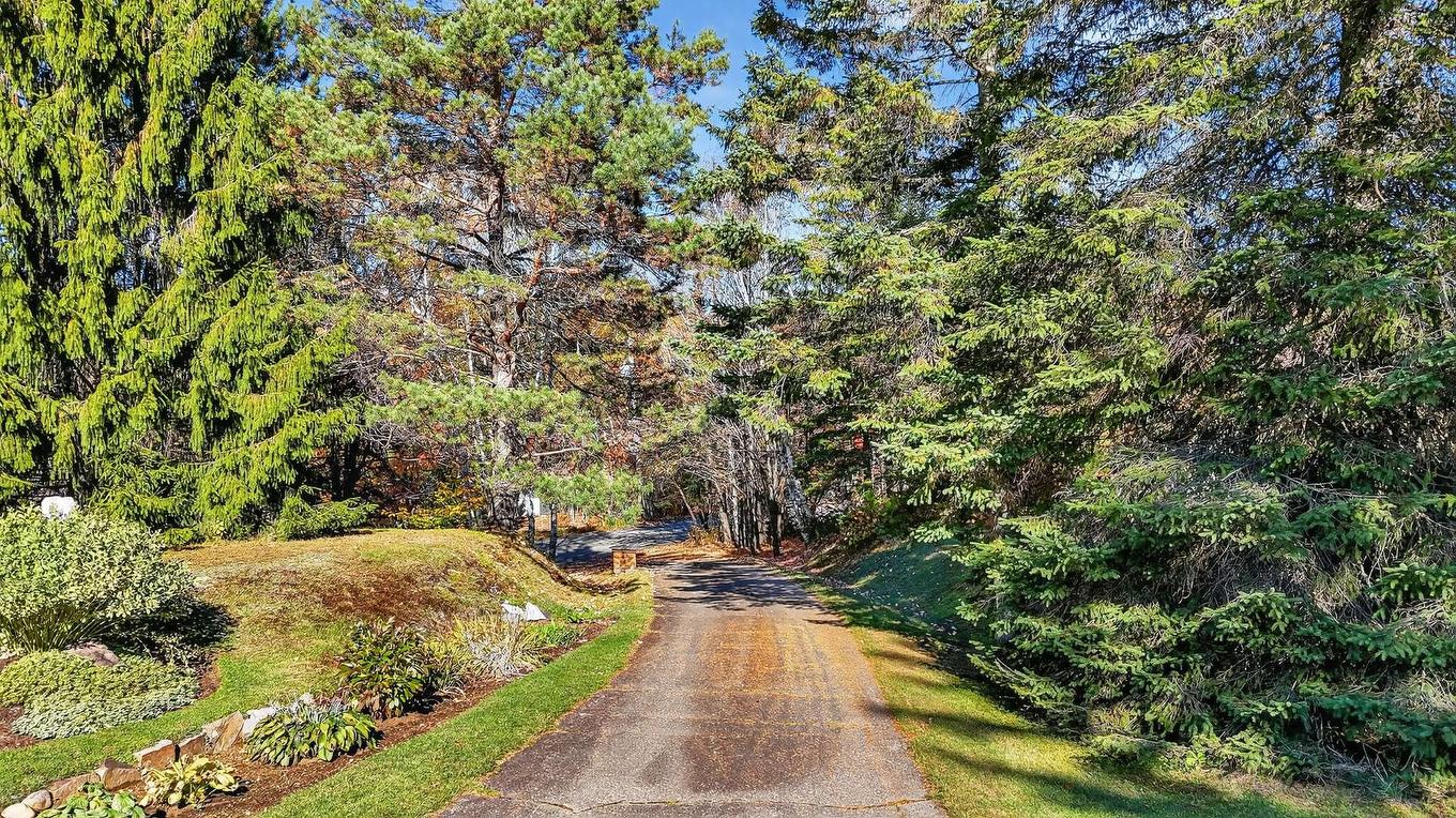 Exterior - 456 Ch. David, Lac-Supérieur, QC - Outdoor