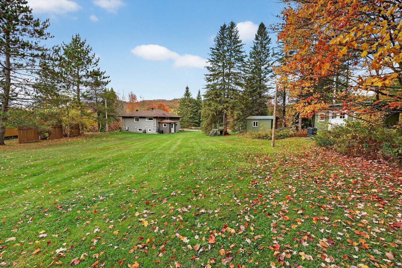 Backyard - 456 Ch. David, Lac-Supérieur, QC - Outdoor