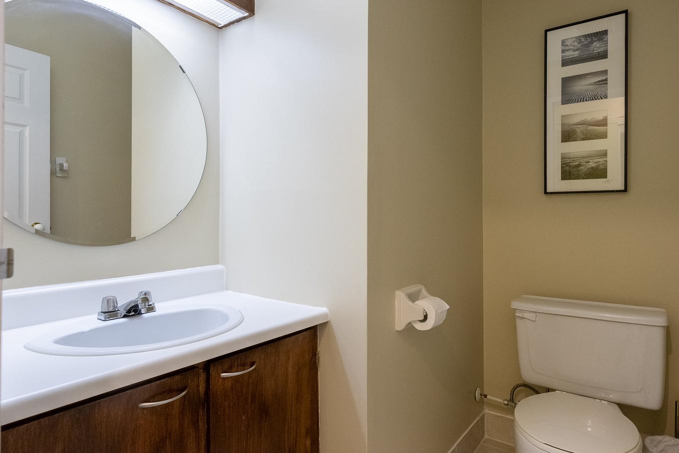 Powder room - 309-556 Ch. Réal, Sutton, QC - Indoor Photo Showing Bathroom