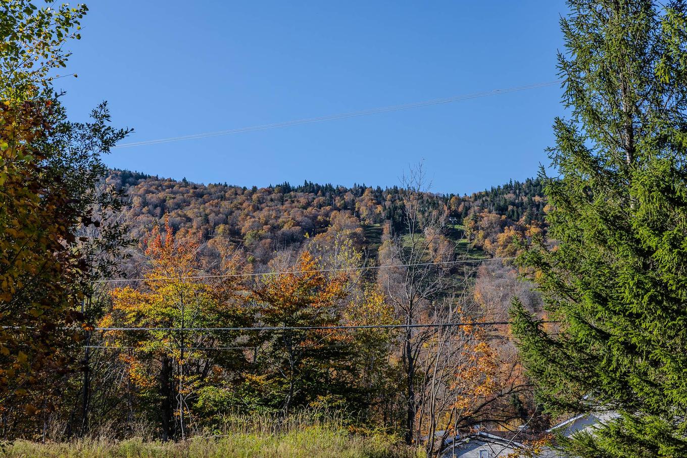 Exterior - 309-556 Ch. Réal, Sutton, QC - Outdoor With View