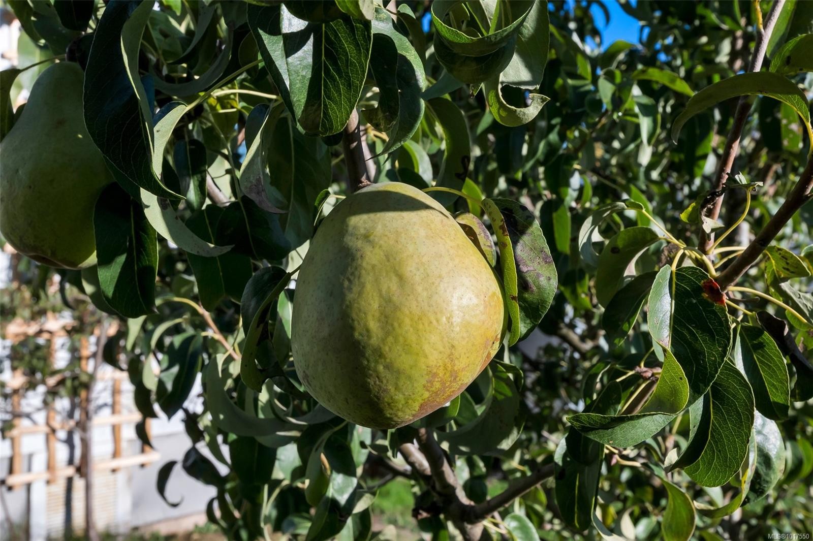 307-2885 Boys Rd, Duncan, BC