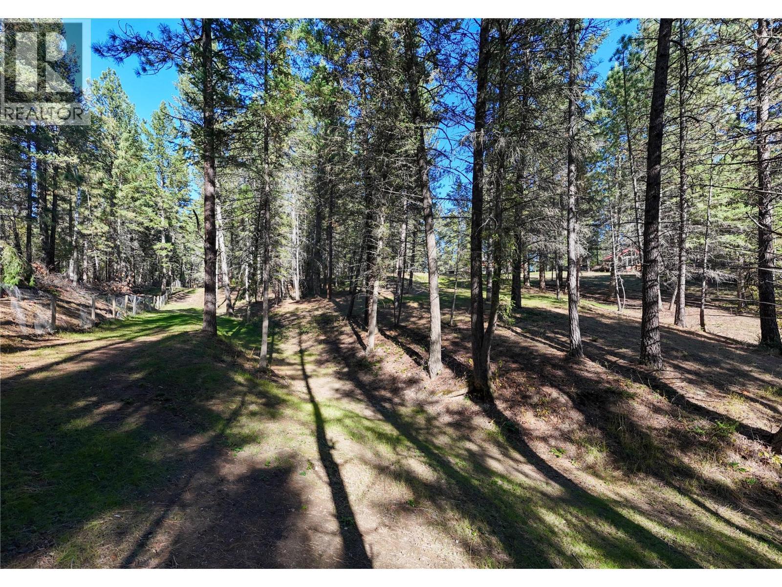 3306 Palmer Road, Baynes Lake, BC - Outdoor With View