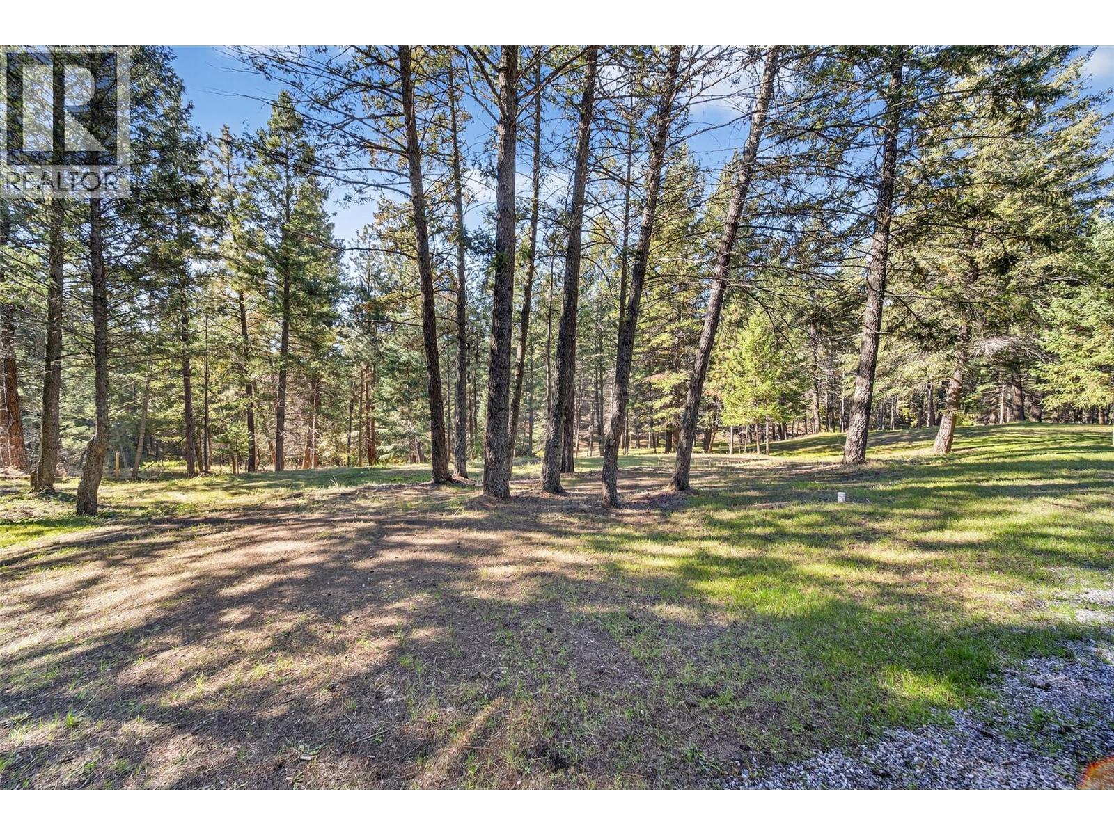 3306 Palmer Road, Baynes Lake, BC - Outdoor With View