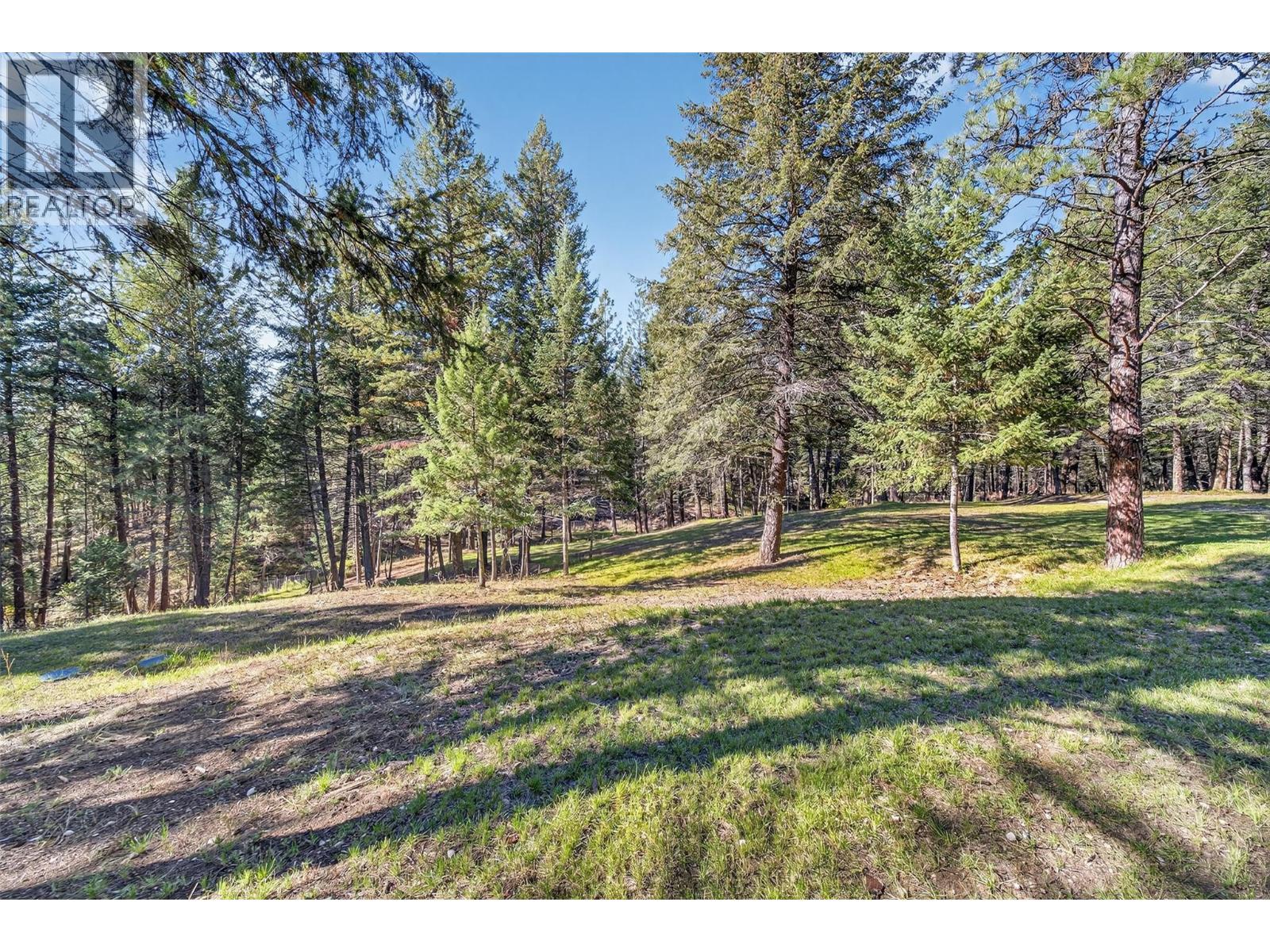 3306 Palmer Road, Baynes Lake, BC - Outdoor With View