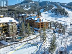 2070 SUMMIT Drive Unit# 301B Panorama, BC V0A 1T0