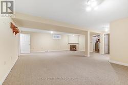 Lower level family -