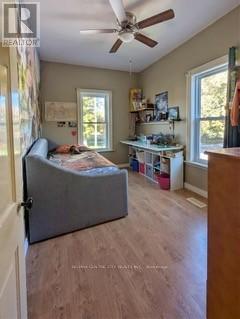 40 Goshen Street N, Bluewater (Zurich), ON - Indoor