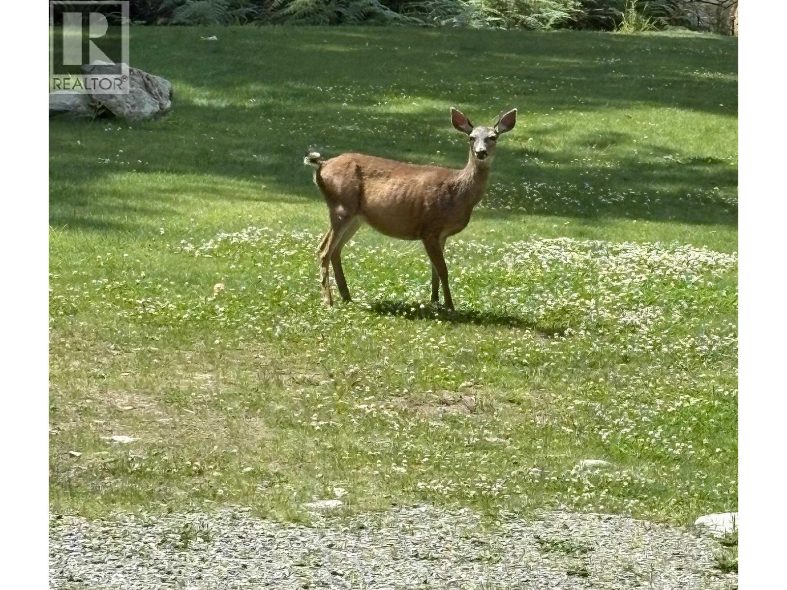 660 Andy'S Bay Road, Gambier Island, BC