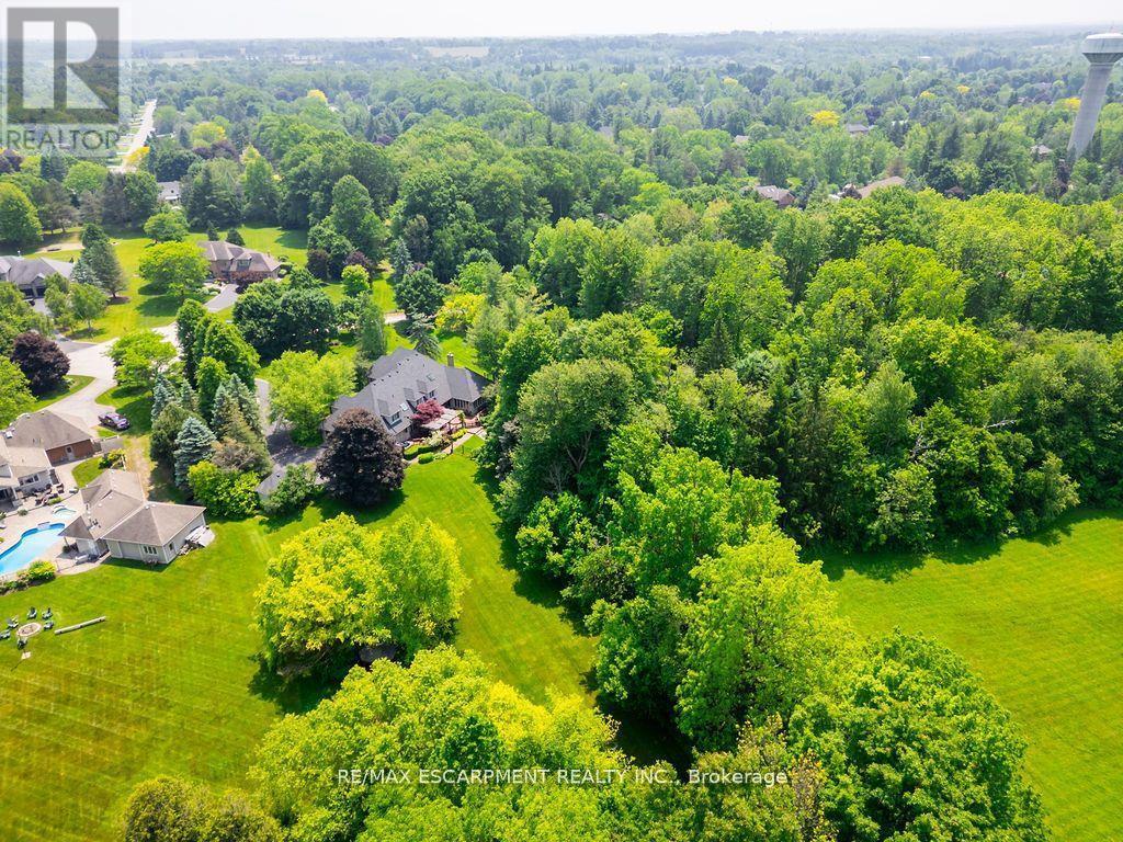 27 Blackberry Place, Hamilton, ON - Outdoor With View