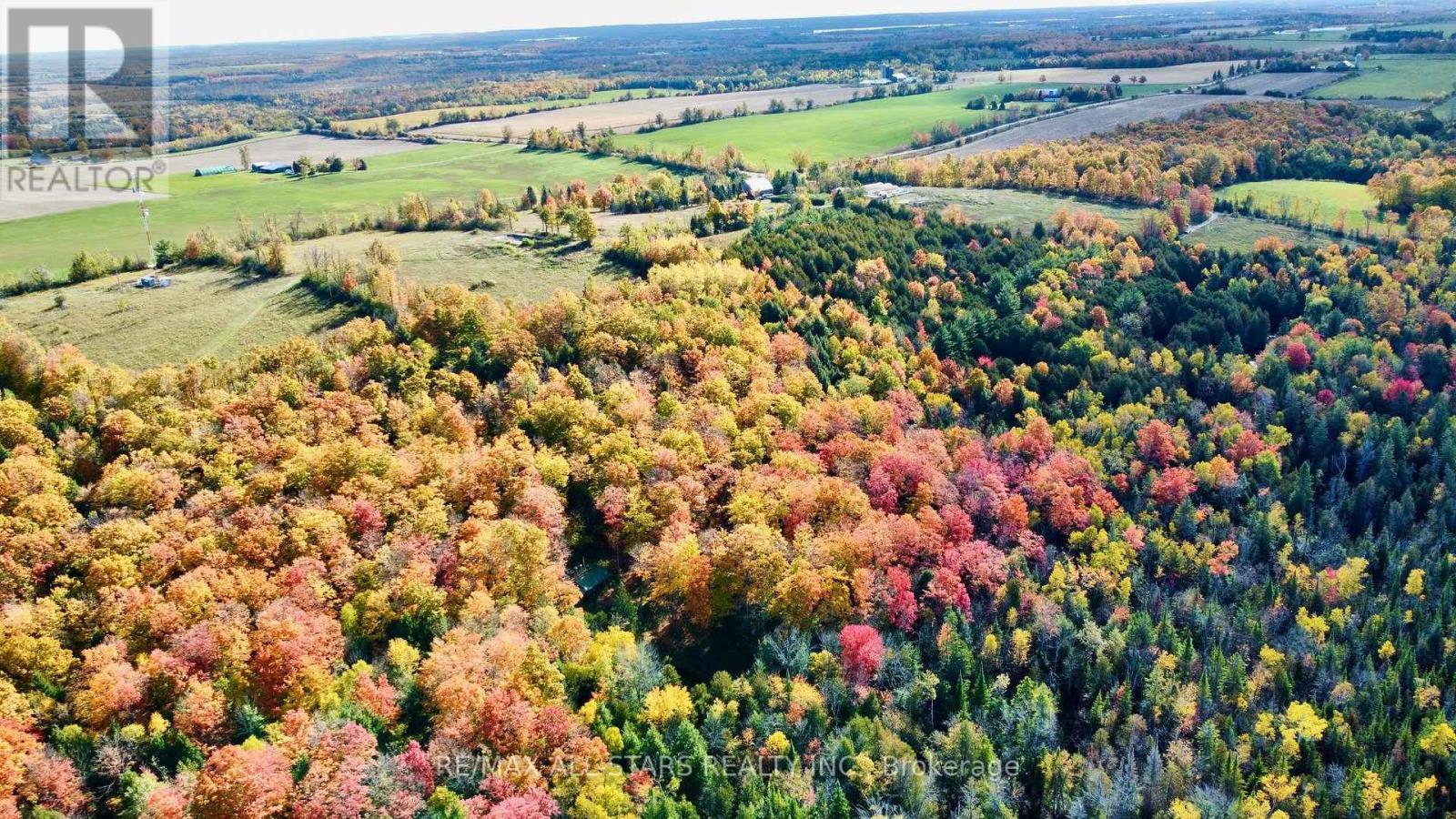 14200 Sideroad 18, Brock, ON - Outdoor With View
