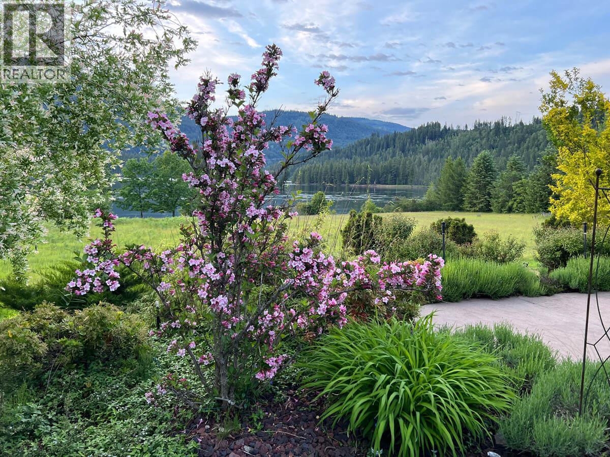 2719 Davidson Road, Shoreacres, BC - Outdoor With View