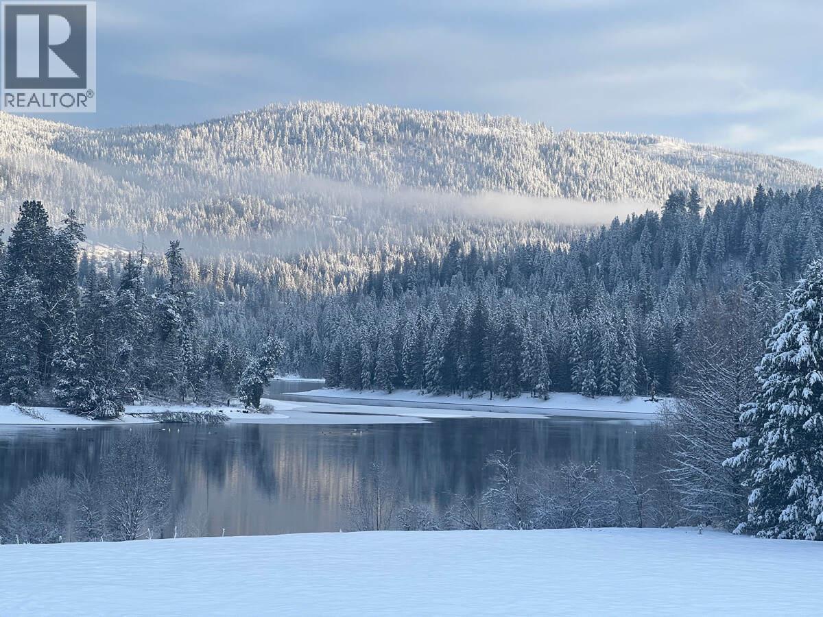 2719 Davidson Road, Shoreacres, BC - Outdoor With View