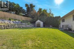 Grassy backyard -