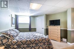 Lower Level Other Room Bright & Spacious -