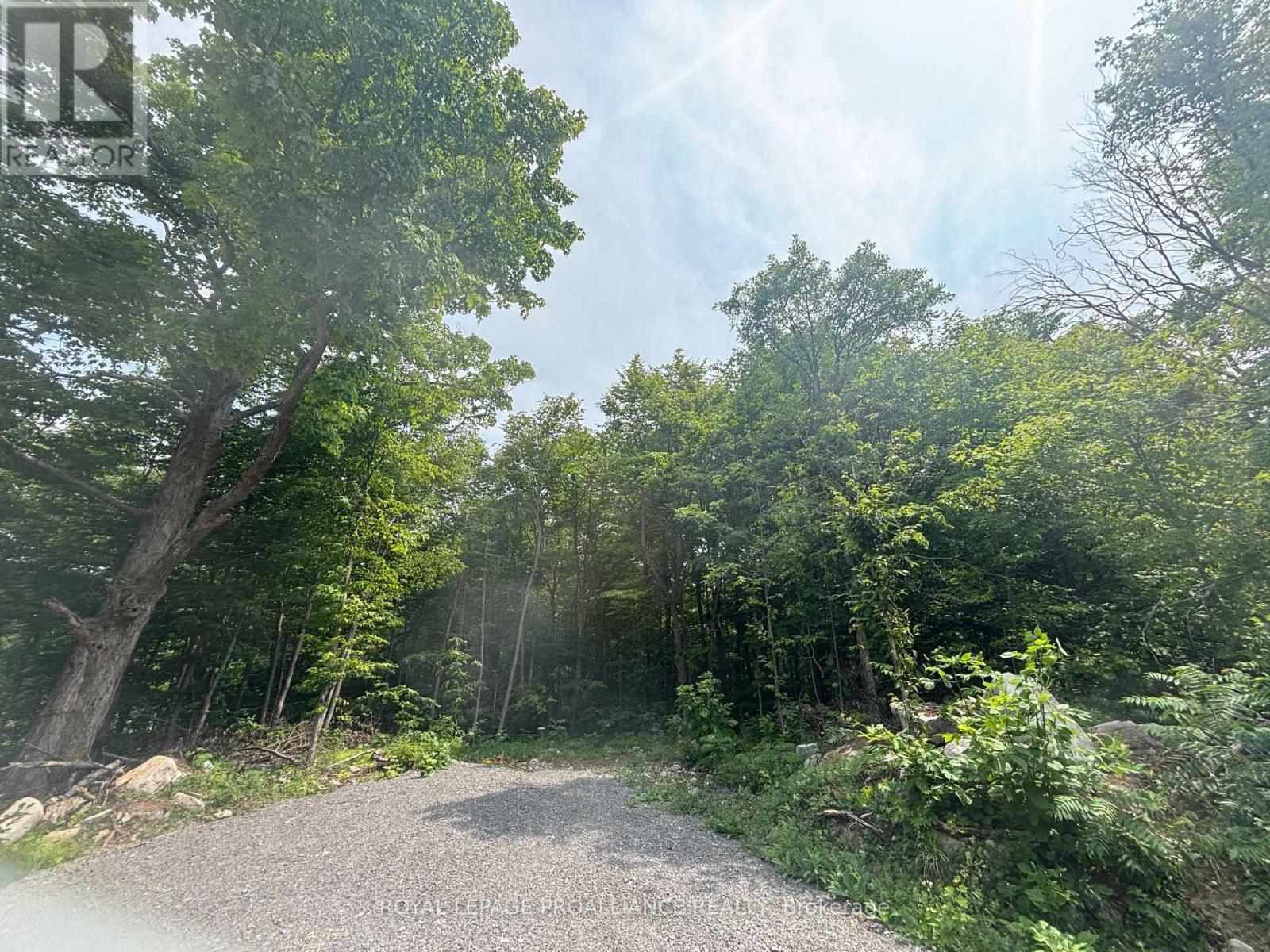 Severed B - 554 Pigden Road, Madoc, ON