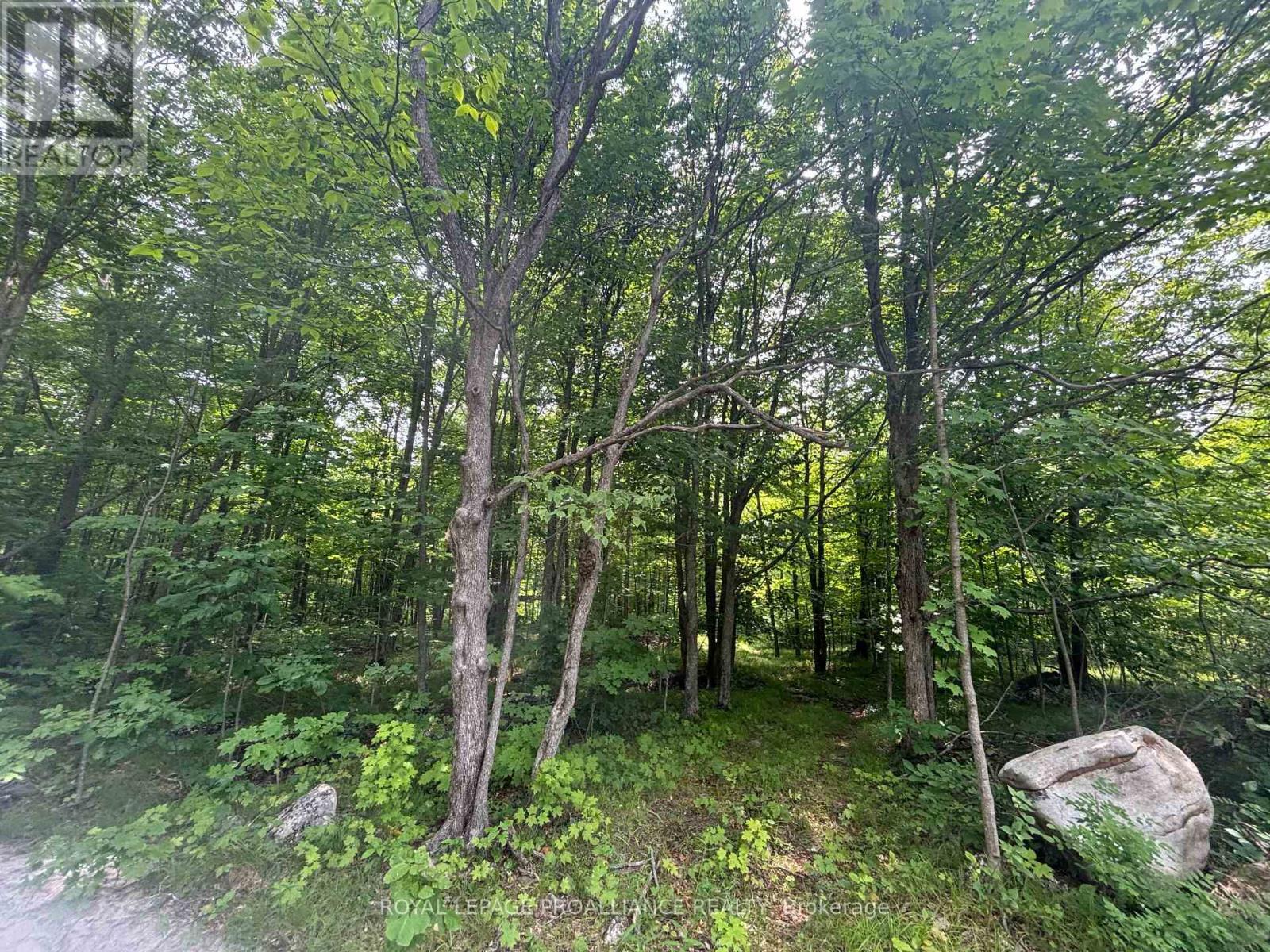 Severed B - 554 Pigden Road, Madoc, ON